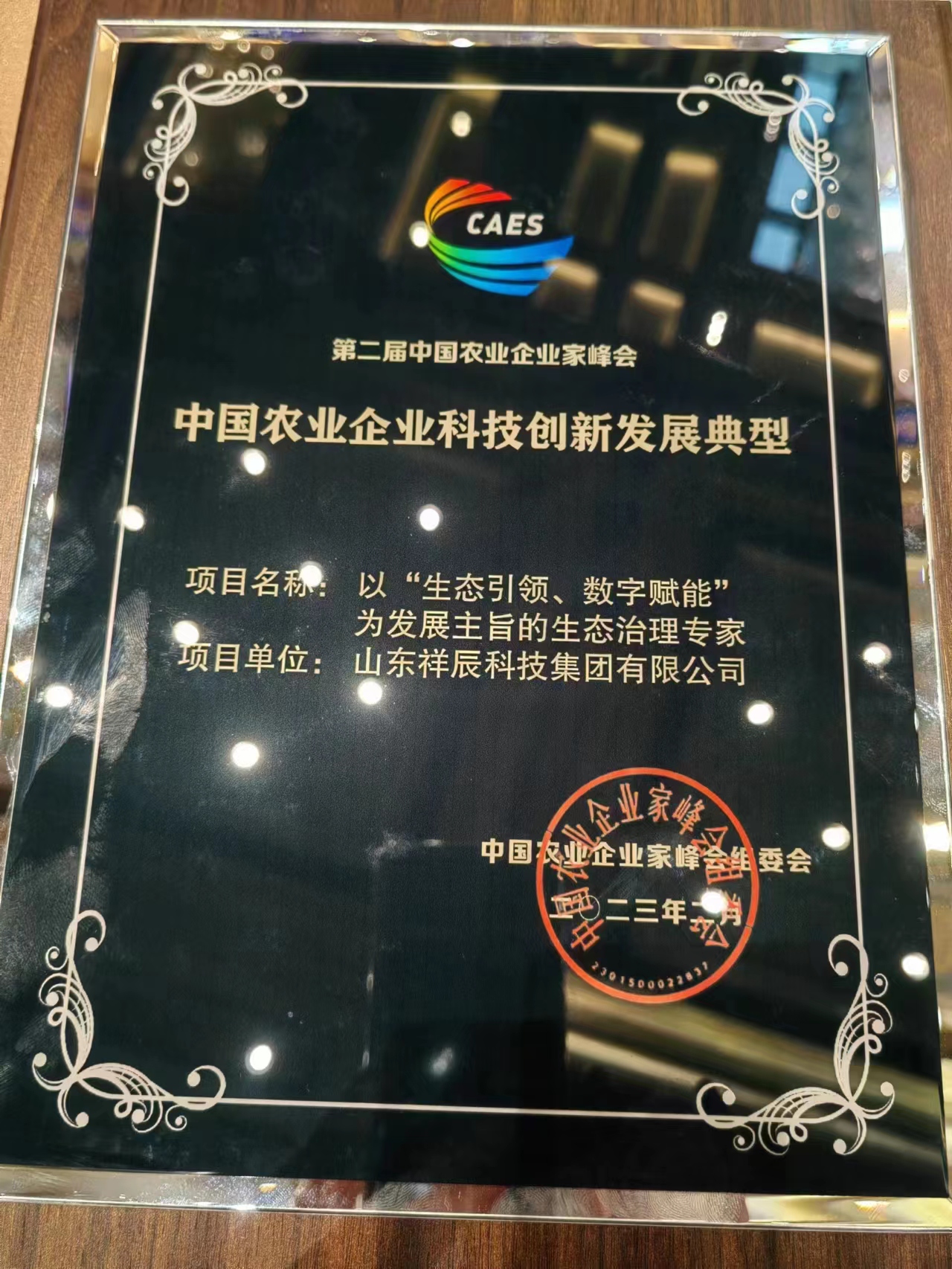 获奖项目.jpg