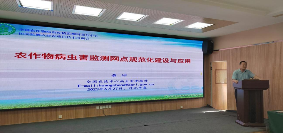 河北黄冲.png