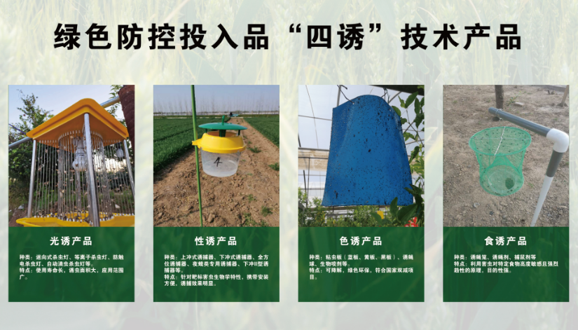 lQLPKeWJOG3osv_NAdfNAzmw-rvtsD9AascFbMcF08kEAQ_825_471.png