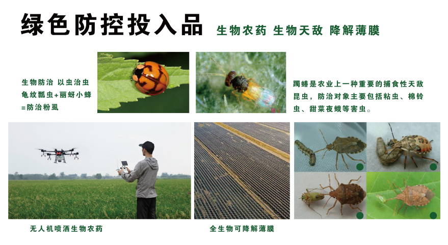 242B09FD-52A8-46a6-B1E9-CA208DC79885.png